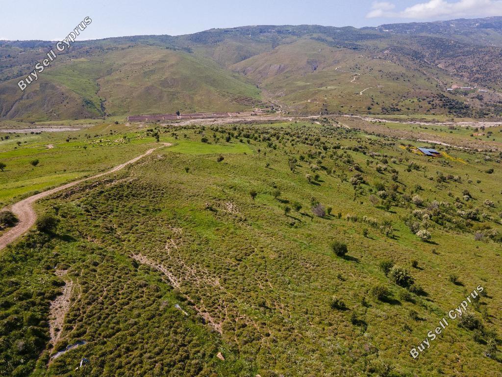 land off market kelokedara paphos 8630156 image 17011494