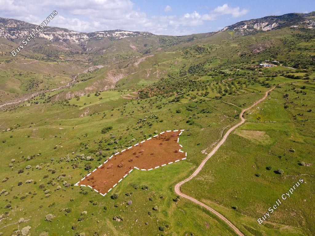 land off market kelokedara paphos 8630156 image 17011495