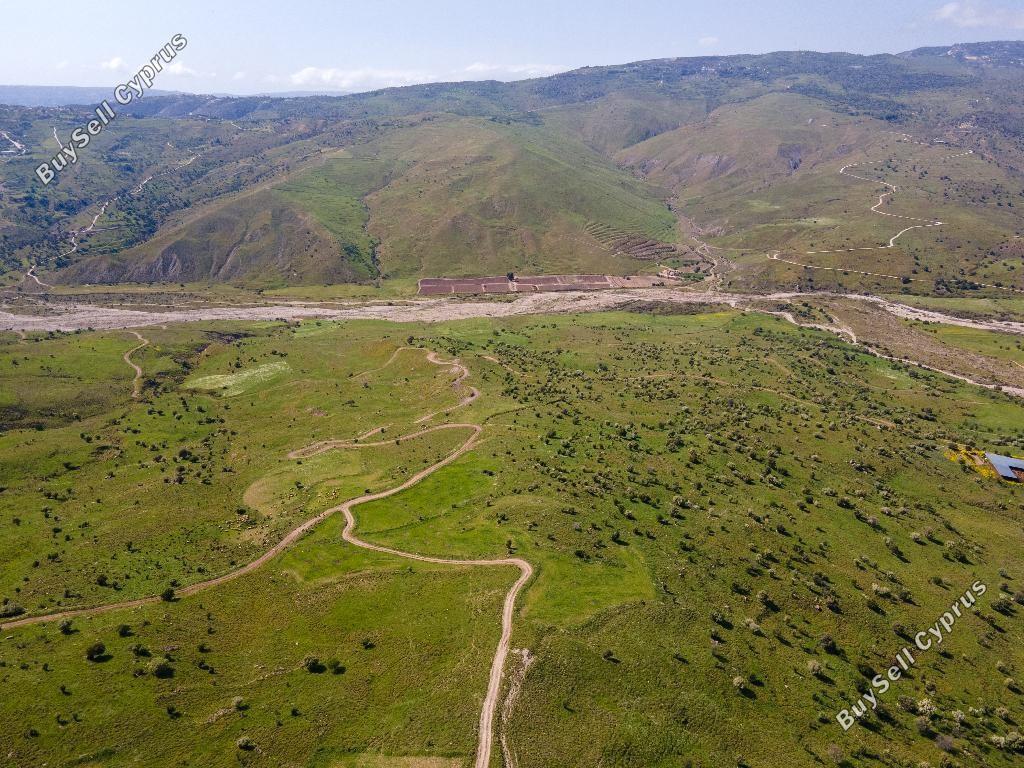 land off market kelokedara paphos 8630156 image 17011496