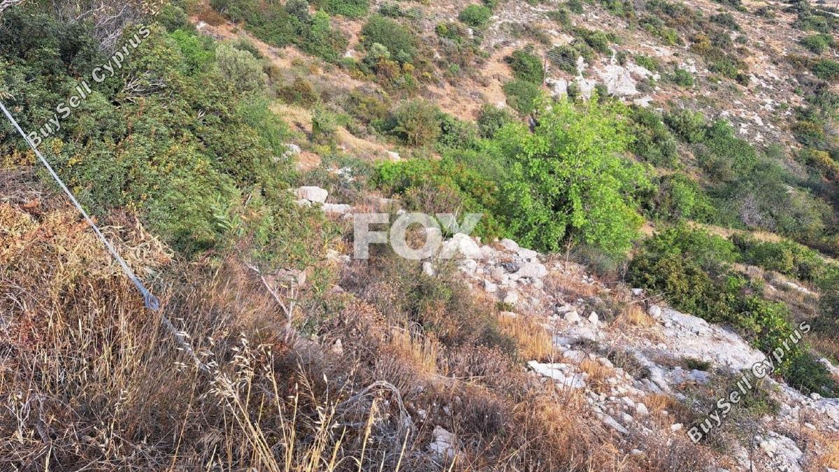 plot for sale tala paphos 1161156 image 14827680