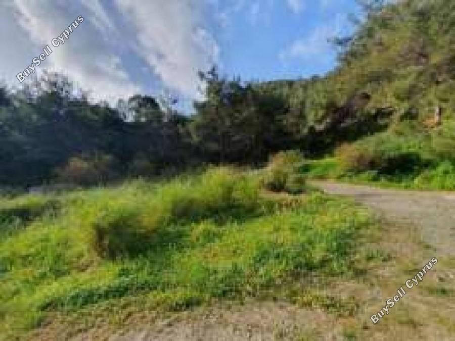 2713 SQM Land for sale in Pomos, Paphos 15872718