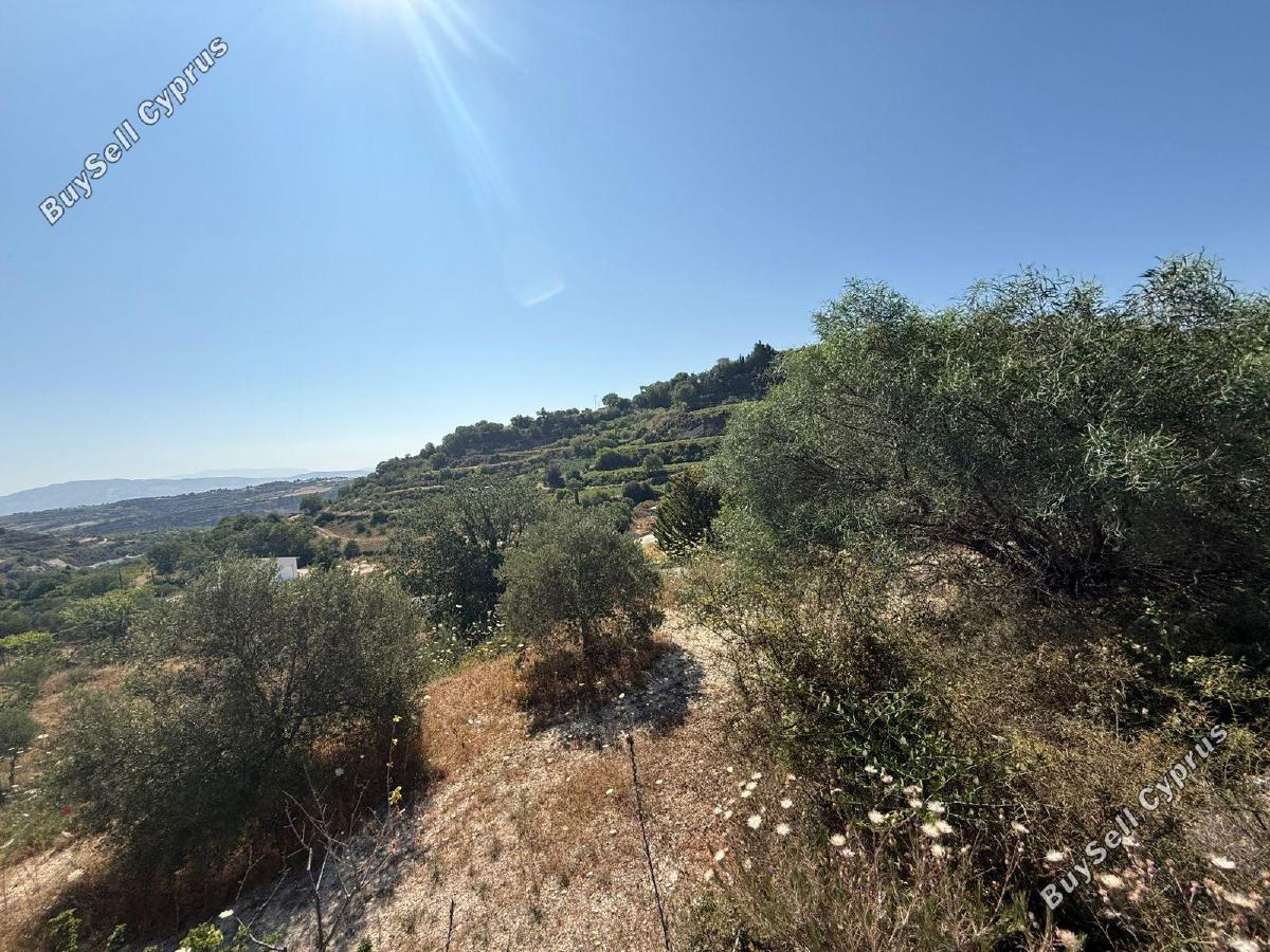 land for sale tsada paphos 1841356 image 6633959