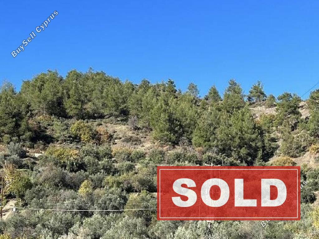 land sold palaichori oreinis nicosia 1386356 image 3525450
