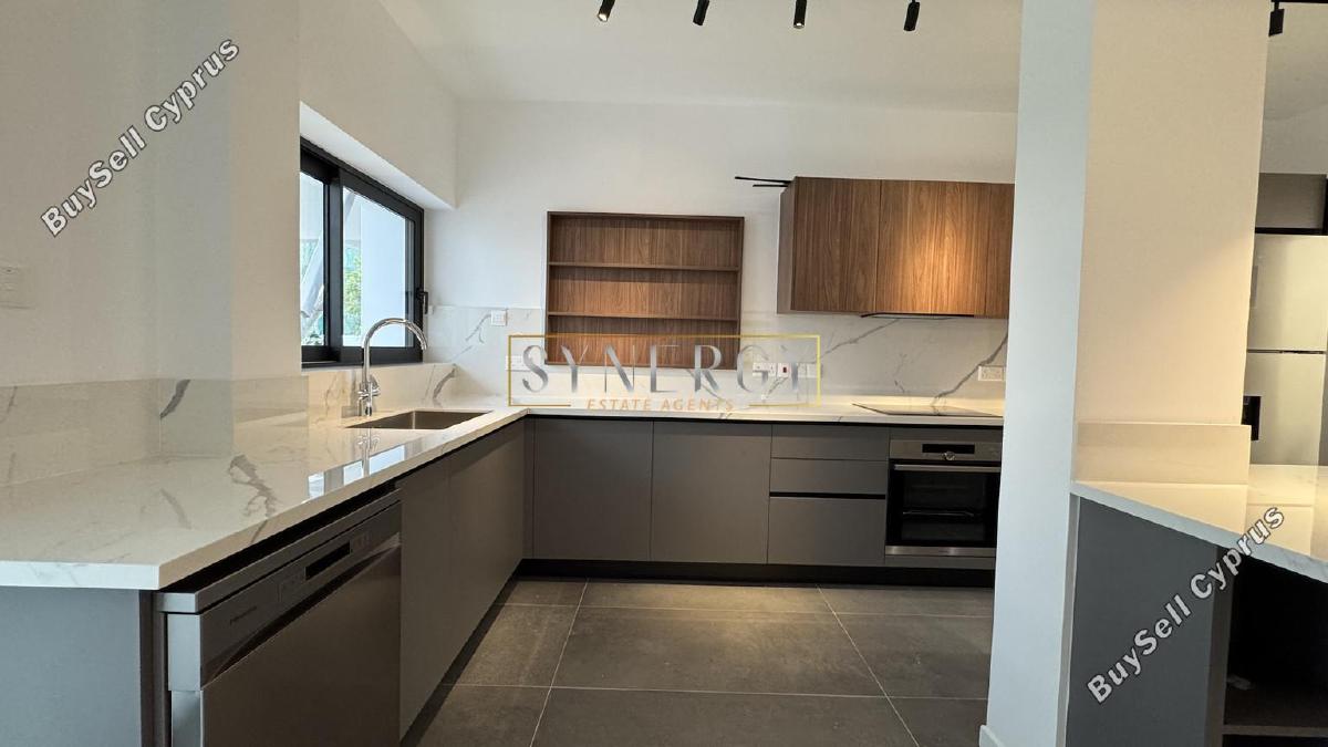 3 bedroom detached house for rent dasoupoli nicosia 8377456 image 17273187