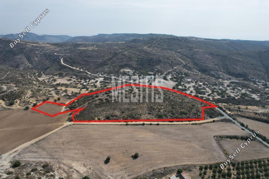 land for sale choirokoitia larnaca 8056456 image 12963770