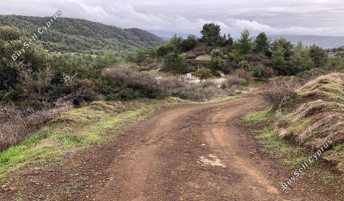 land for sale lysos paphos 1897456 image 14205715