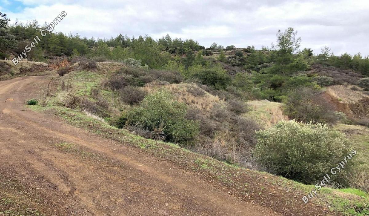 land for sale lysos paphos 1897456 image 14205716