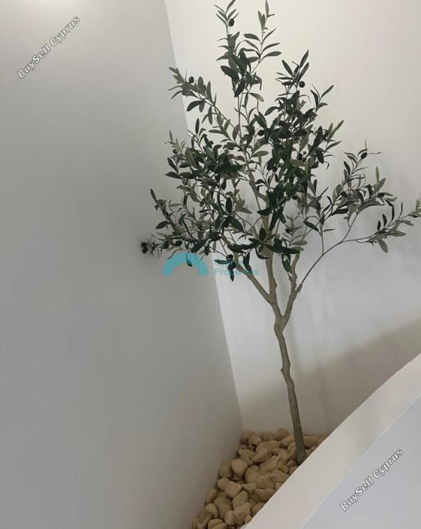 studio office for rent aradippou larnaca 8526456 image 15438309