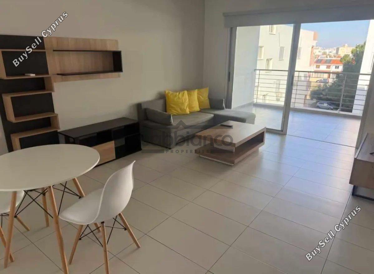 1 bedroom apartment for rent egkomi nicosia 8748556 image 16466156