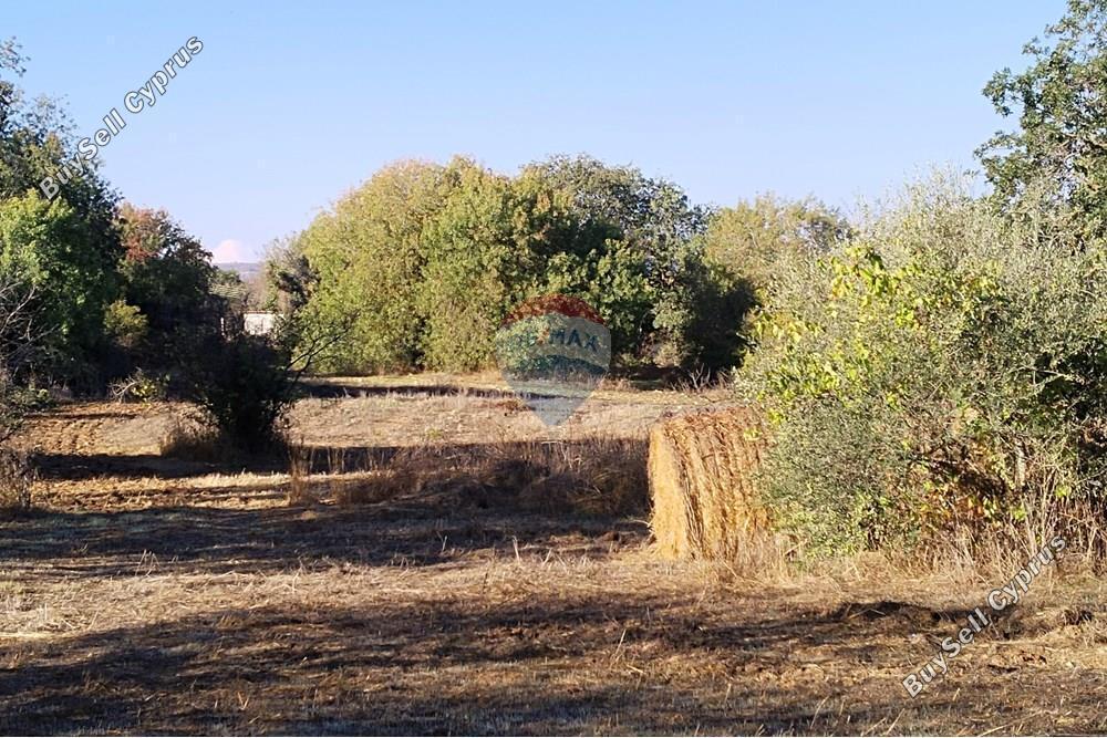 land for sale polemi paphos 7729556 image 15496869