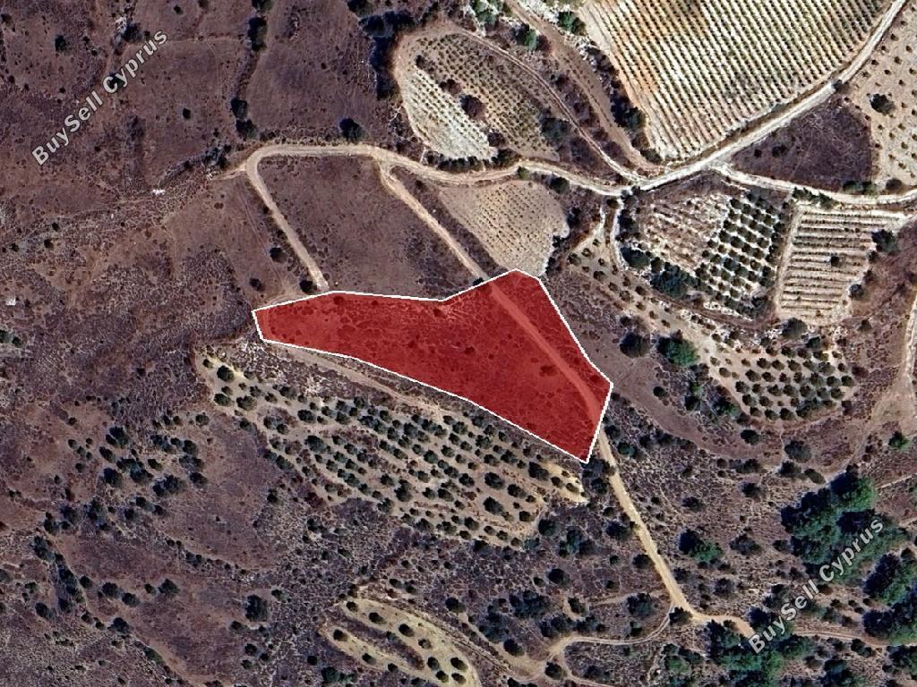 land for sale statos agios fotios paphos 7805556 image 15596363