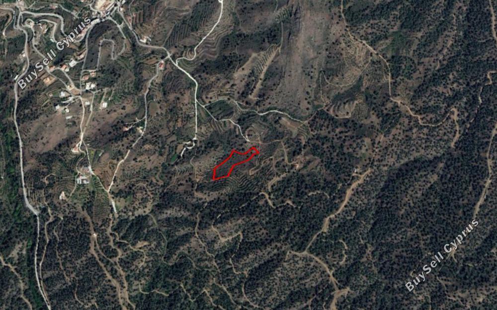land for sale xyliatos nicosia 830556 image 2824735