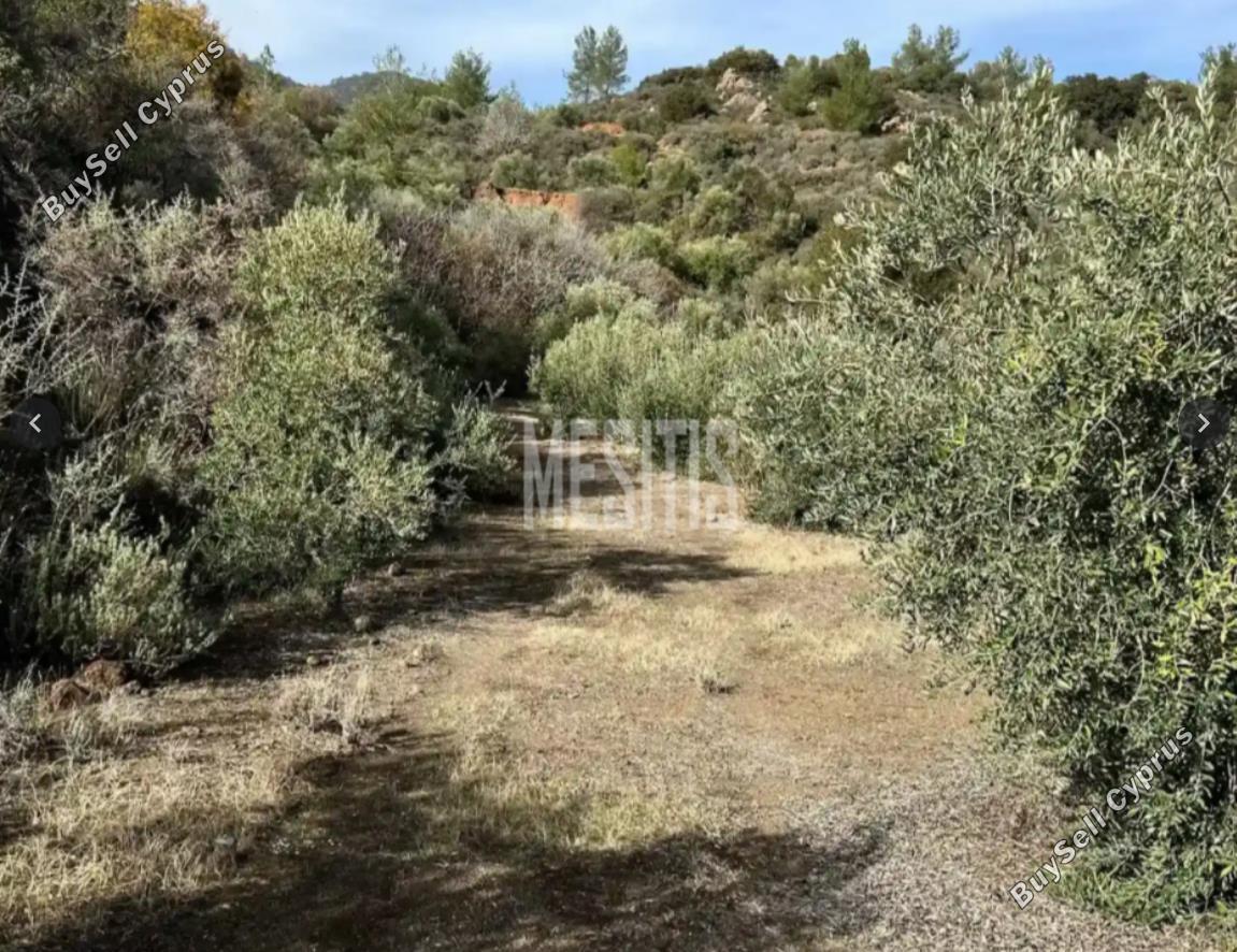 28429 SQM Land for sale in Vavatsinia, Larnaca 11270651