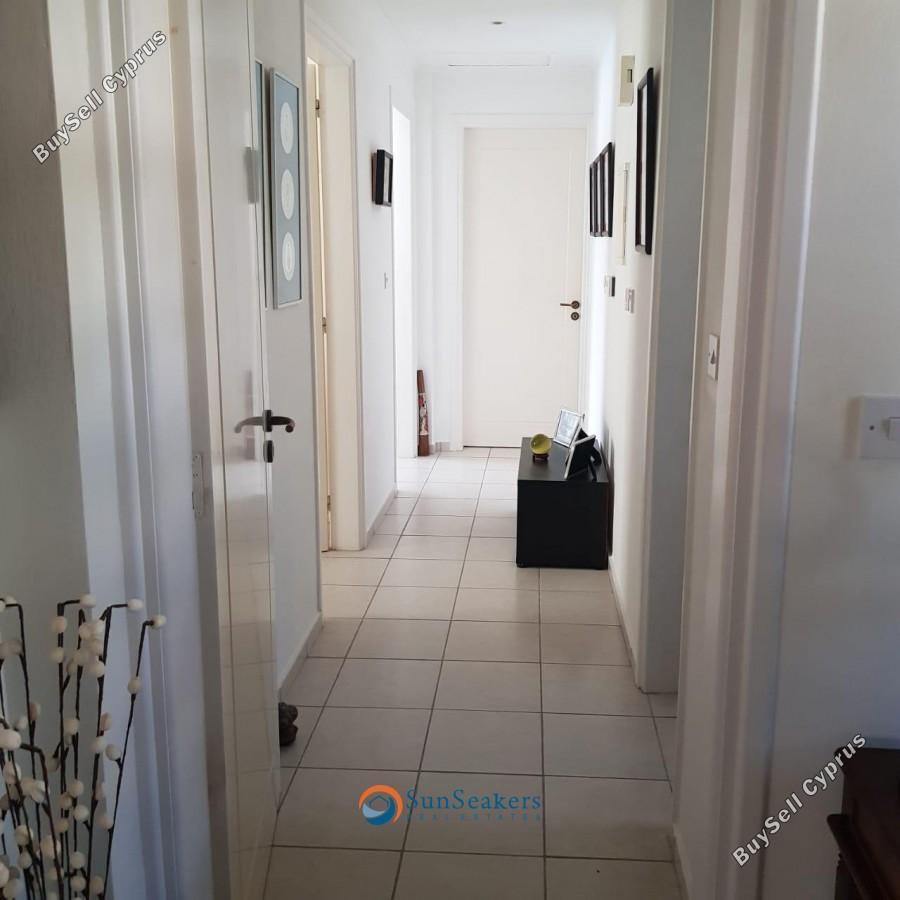 3 bedroom bungalow for sale kamares tala paphos 8529656 image 15456556