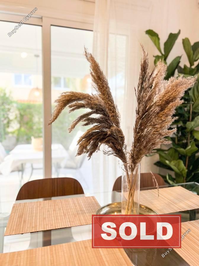 3 bedroom bungalow sold coral bay paphos 8058656 image 12968917