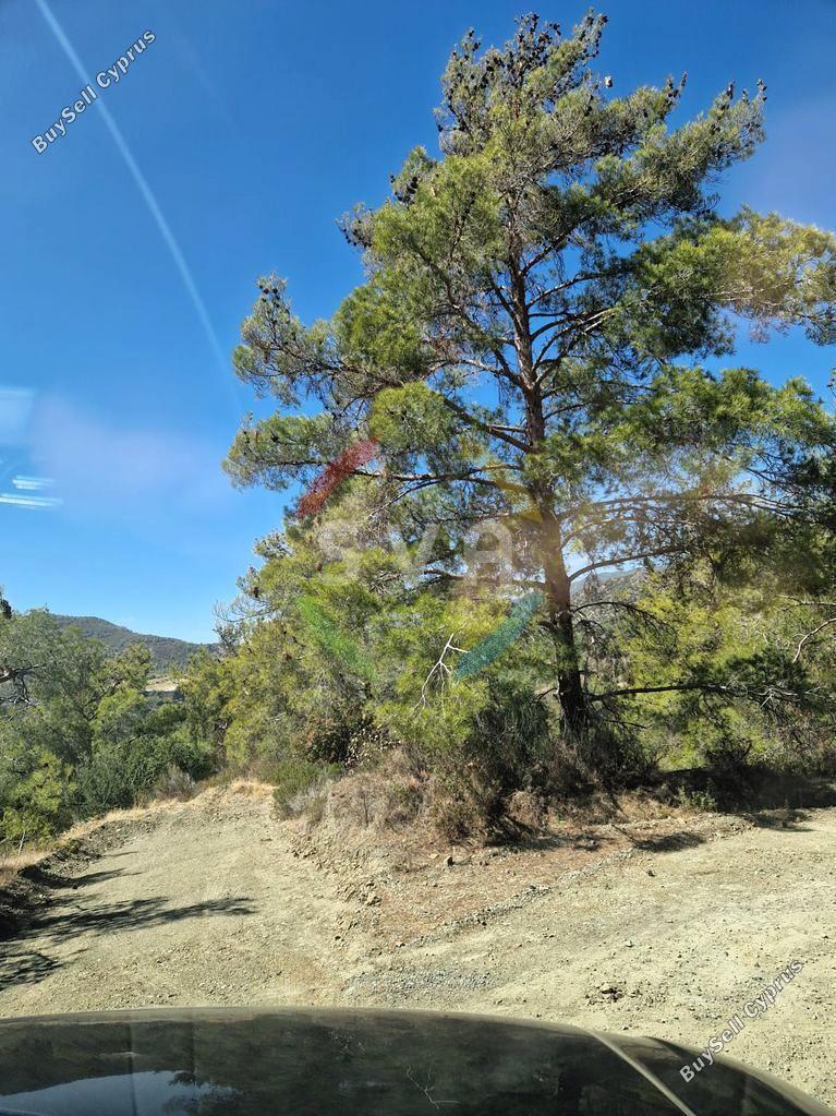 land for sale agios mamas limassol 1583656 image 9850787
