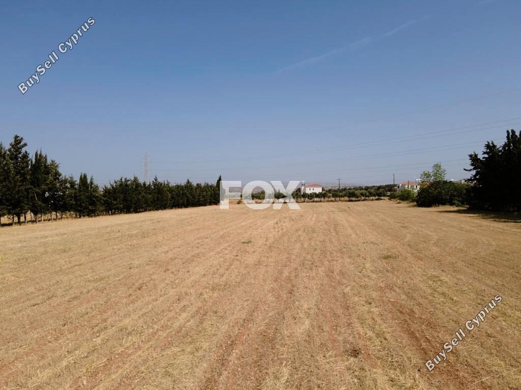 land for sale kouklia pafou paphos 1457856 image 5620865