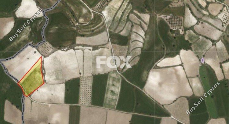 land for sale polemi paphos 1158856 image 5506824