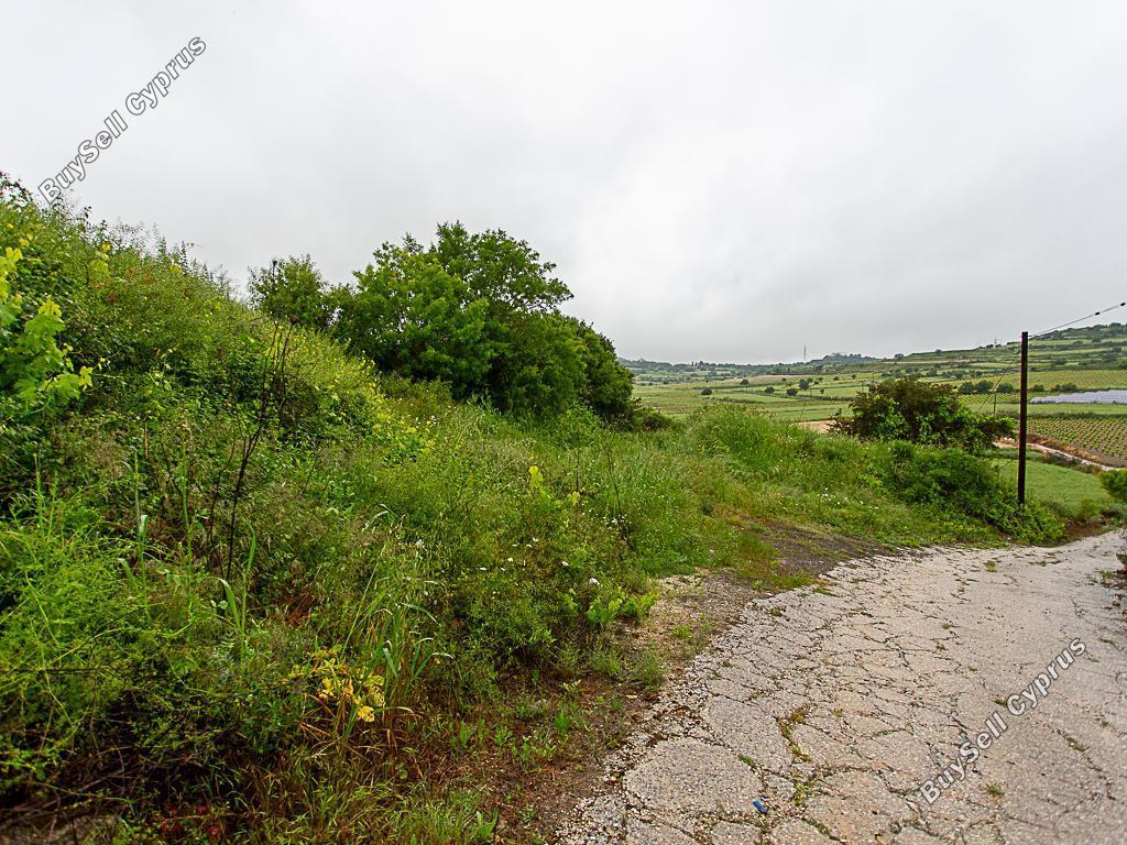 land for sale polemi paphos 8627856 image 15861720