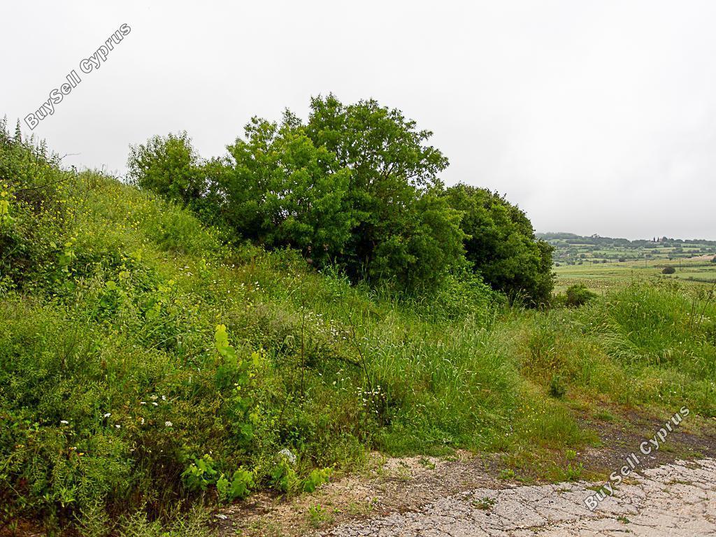 land for sale polemi paphos 8627856 image 15861722