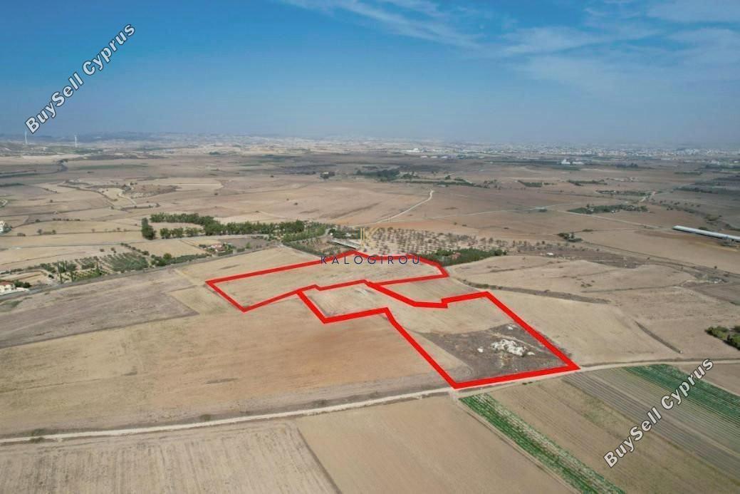 land for sale tersefanou larnaca 1328856 image 5632994