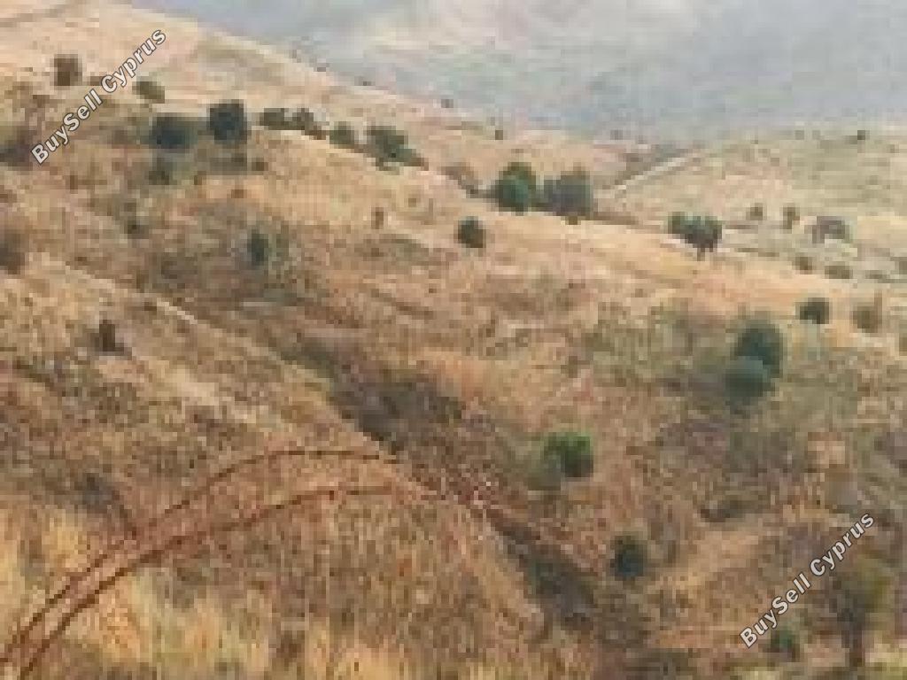 4014 SQM Land for sale in Salamiou, Paphos 15596550