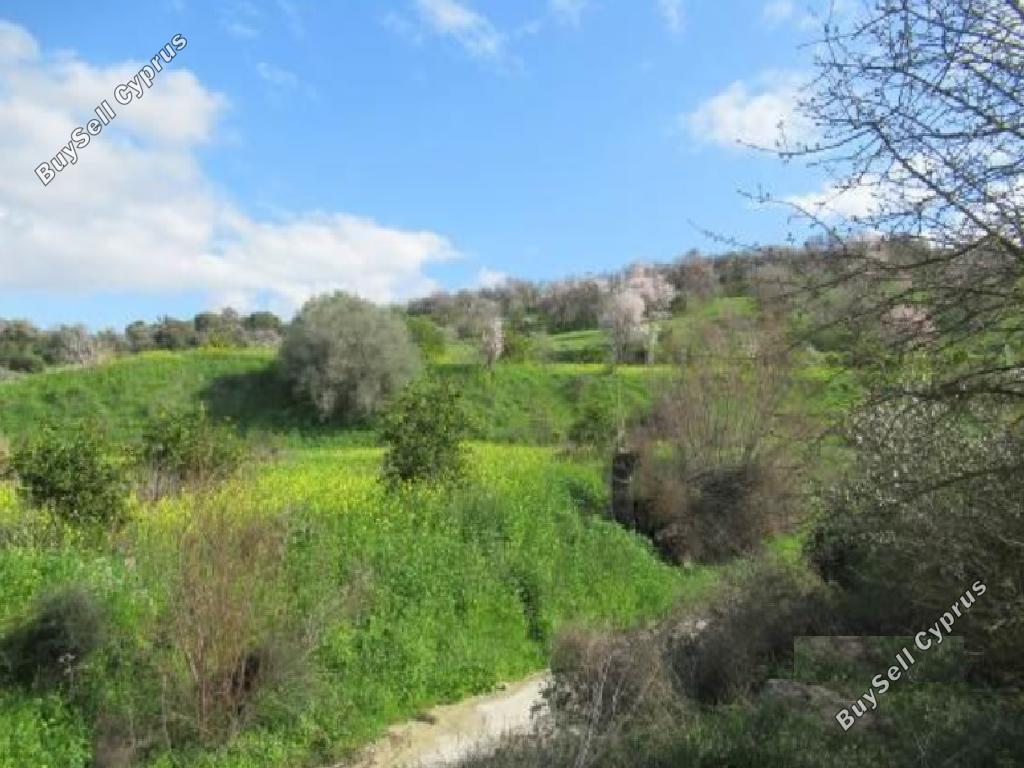 14884 SQM Land for sale in Mamonia, Paphos 16512199