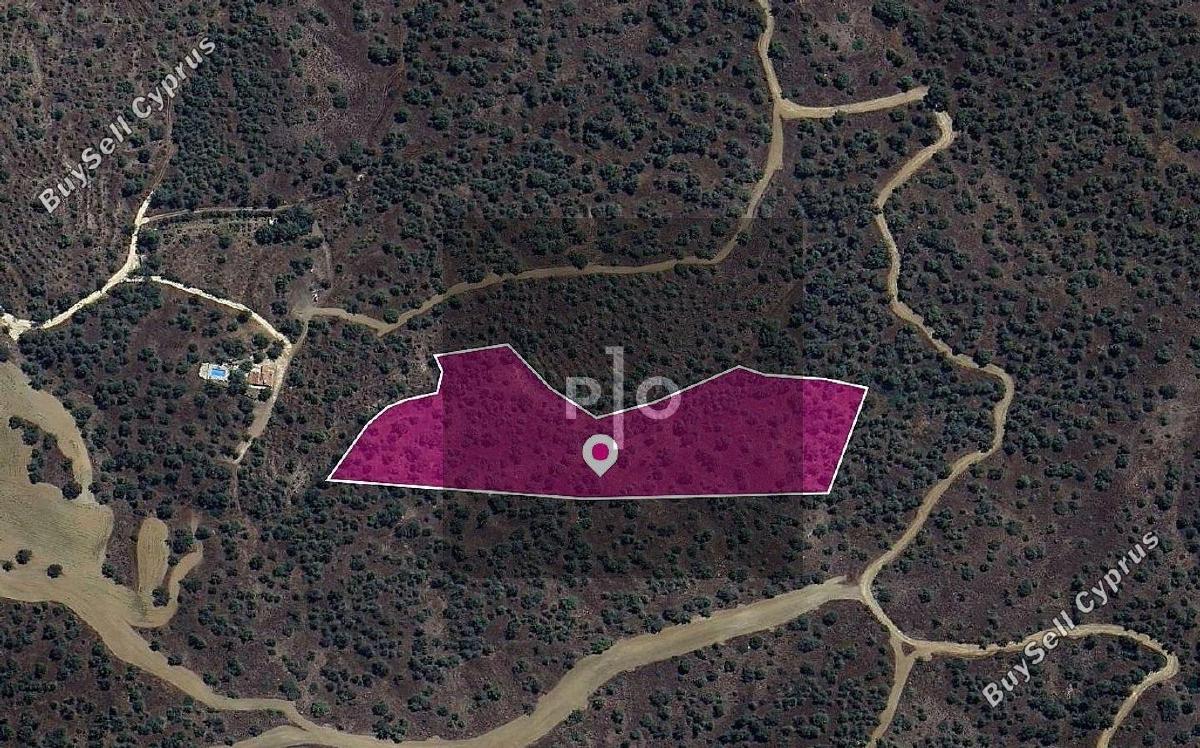 land for sale evrychou nicosia 8275066 image 15157190