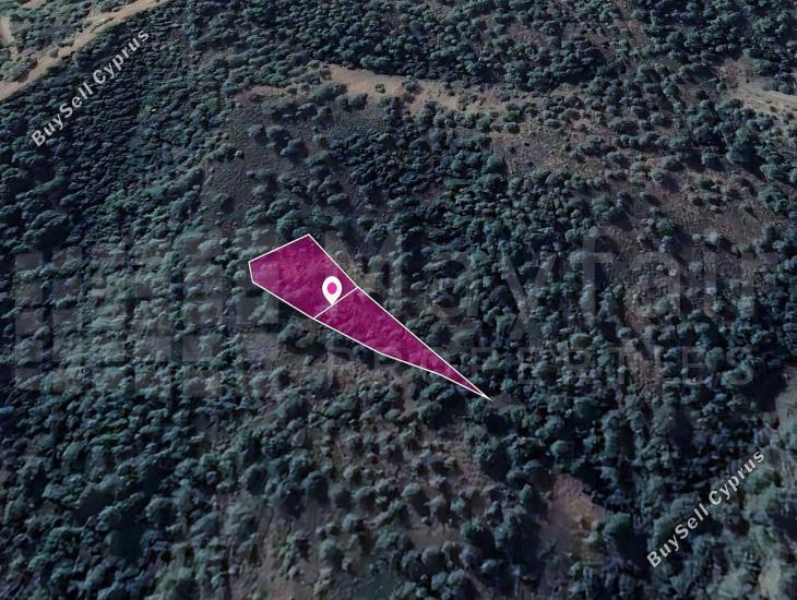 land for sale kampos nicosia 7872066 image 11384014