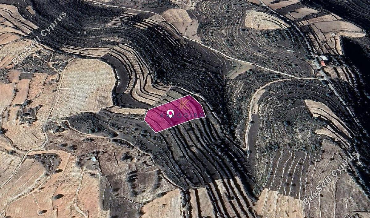 land for sale pachna limassol 1650066 image 10092905