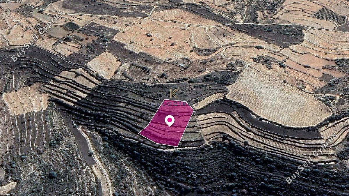land for sale pachna limassol 1650066 image 10092907