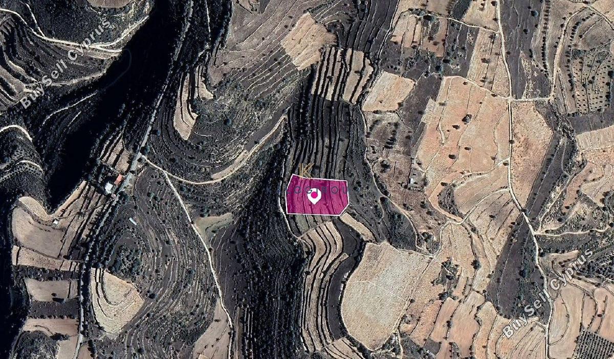 land for sale pachna limassol 1650066 image 10092908