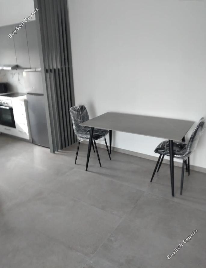 1 bedroom apartment for rent parissinos nicosia 8500166 image 16336830