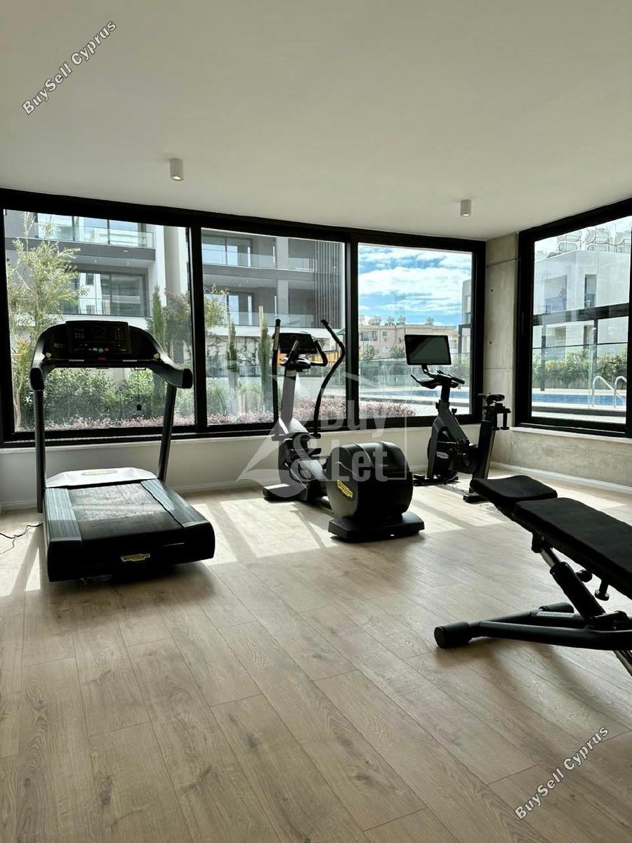 3 bedroom penthouse for sale paphos municipality paphos 8634166 image 15984276