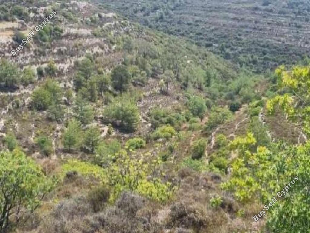 land for sale agios therapon limassol 7452166 image 15597500