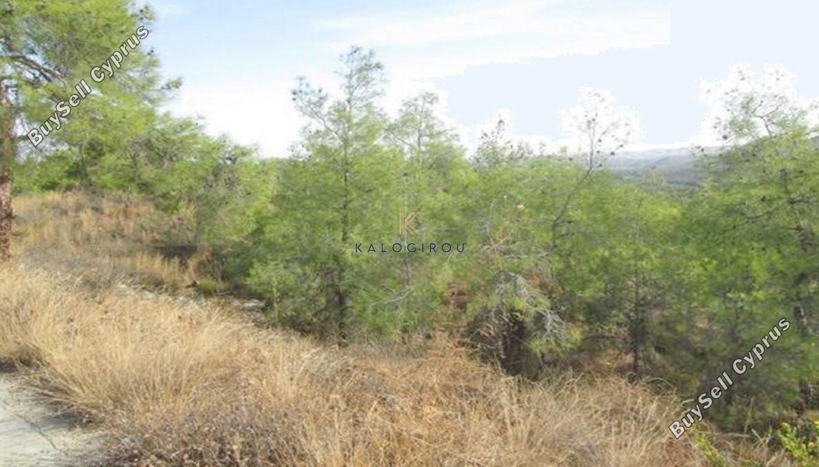 land for sale kornos larnaca 1697166 image 9467691