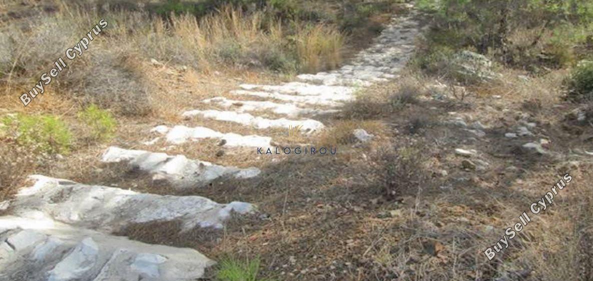 land for sale kornos larnaca 1697166 image 9467695