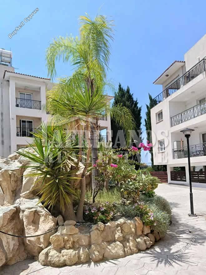 2 bedroom apartment for rent oroklini larnaca 8903266 image 17575312