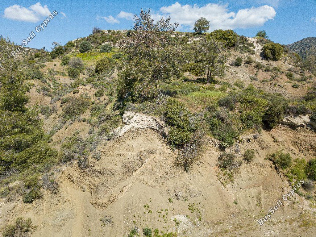 land for sale agios mamas limassol 823266 image 15602676