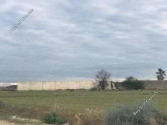 land for sale psimolofou nicosia 1680366 image 15502779