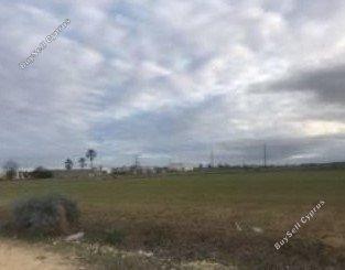 land for sale psimolofou nicosia 1680366 image 15502780