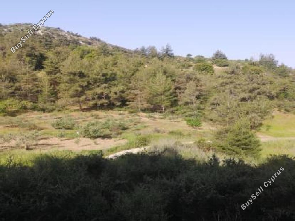 8148 SQM Land for sale in Panagia, Paphos 15600061