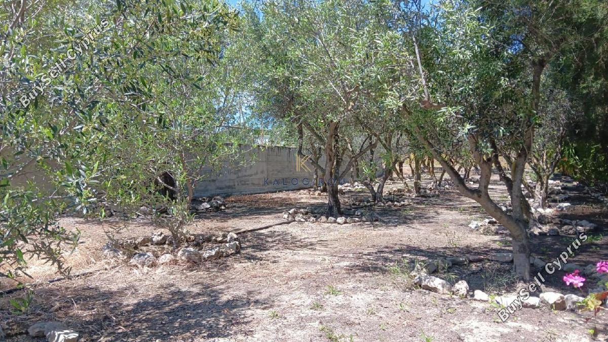 2 bedroom bungalow for sale alethriko larnaca 8989466 image 18109314