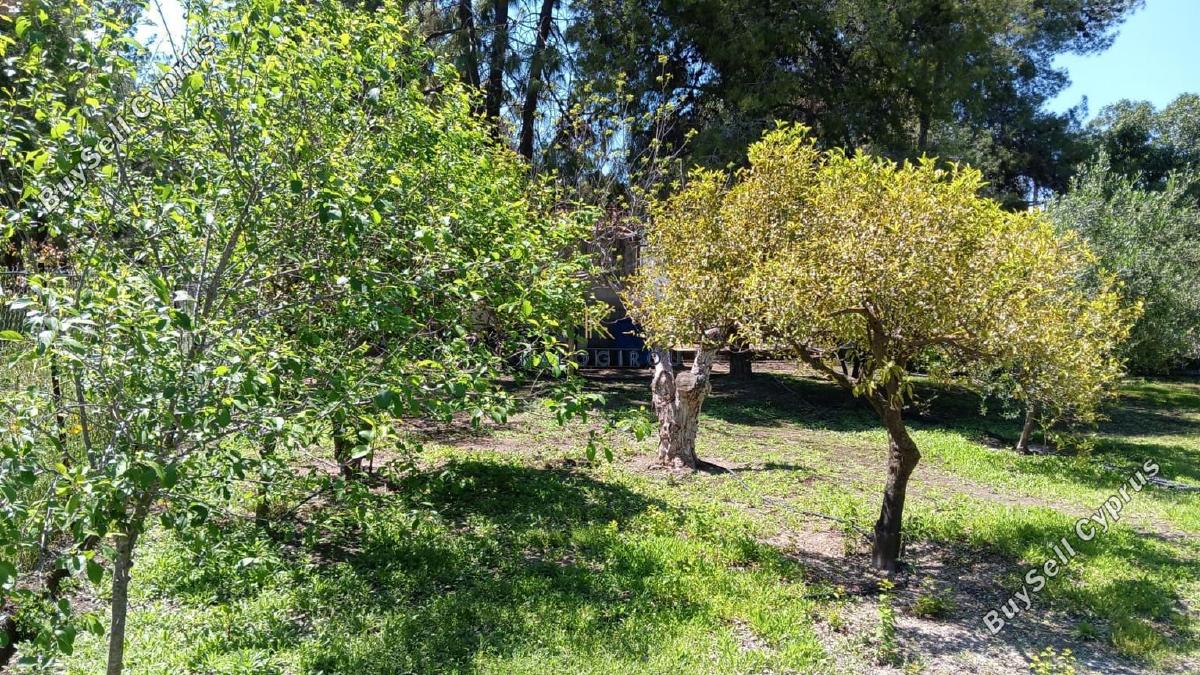 2 bedroom bungalow for sale alethriko larnaca 8989466 image 18109321