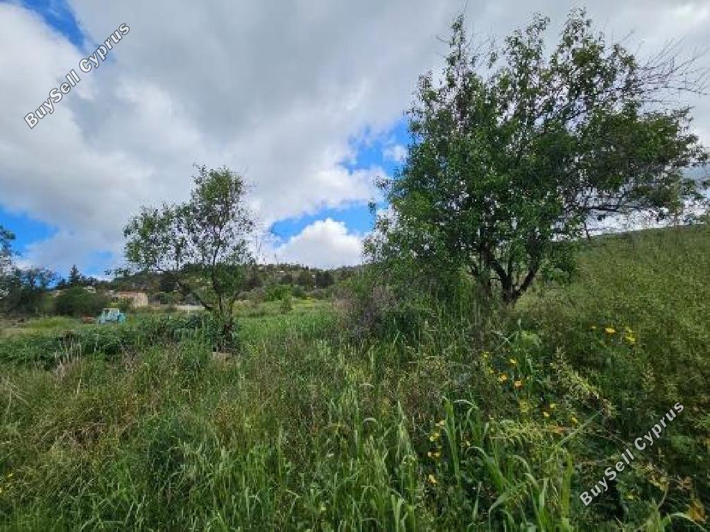 land for sale drynia paphos 7839466 image 15596570