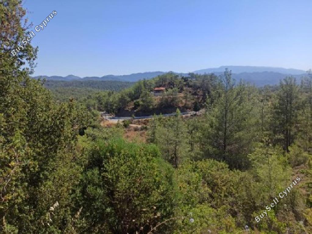 land for sale panagia paphos 946466 image 17071838