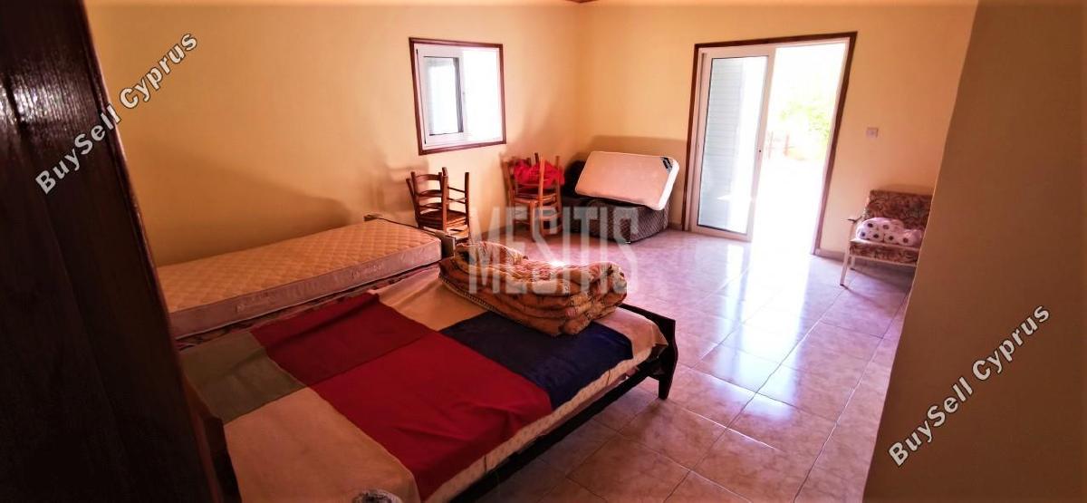 4 bedroom detached house for sale agios theodoros soleas nicosia 975566 image 10488626