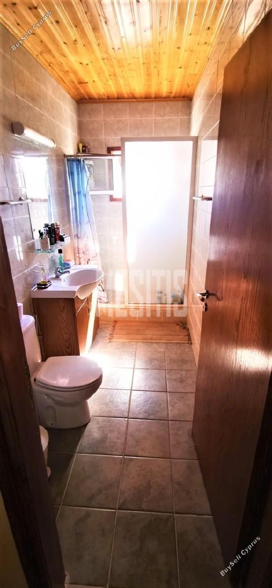 4 bedroom detached house for sale agios theodoros soleas nicosia 975566 image 10488627