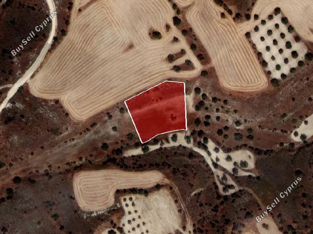 land for sale alampra nicosia 944566 image 6817270