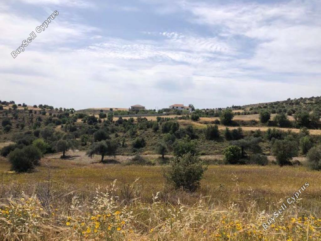 land for sale alampra nicosia 944566 image 6817271